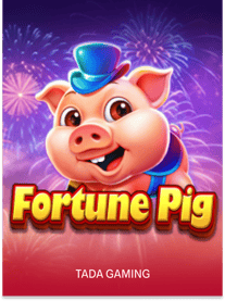 Fortune Pig